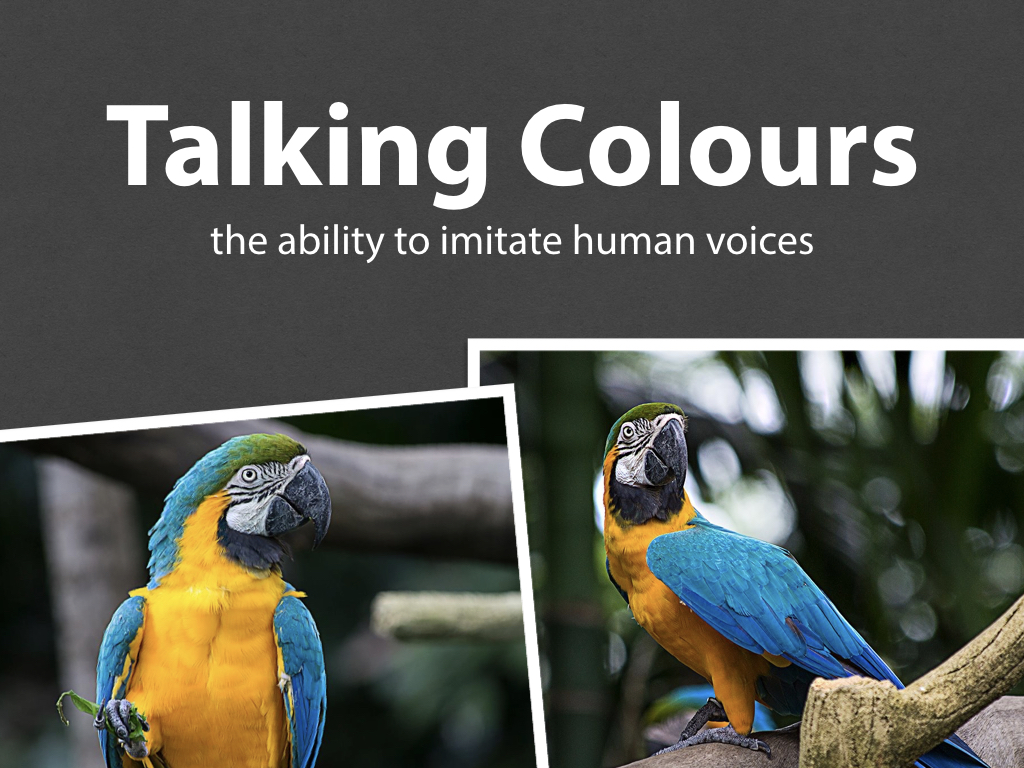 Use images in selected slides